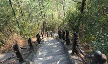 心弃浮华求本真