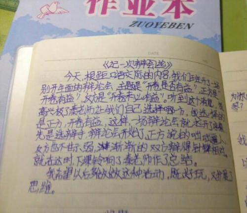 开放，有益辩论，论文（1）_550字