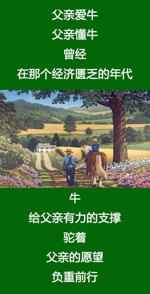 我理解我的母亲爱_650字