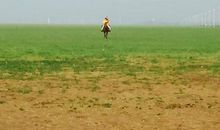 在拐角处的路上