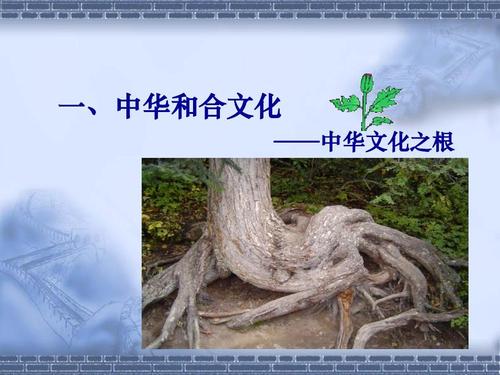 文化根