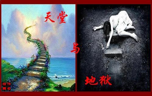 心中的心脏_600字