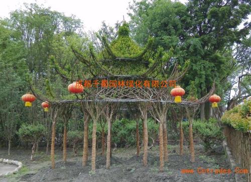 芙蓉树下的破碎墙_2000字