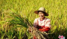 秋天——收获的季节