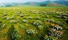 承德木兰围场之旅（景色篇）