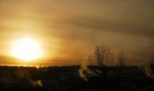 坐看黄昏落枝头