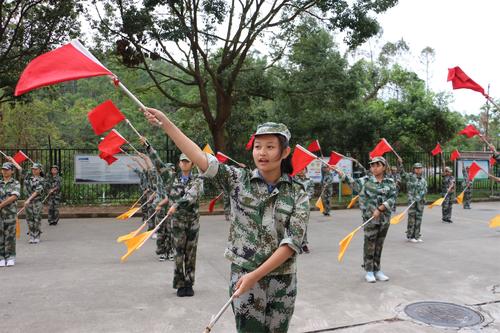 化学分为蝴蝶，大都会中学很棒