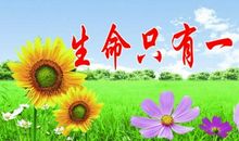 生命所需要的爱