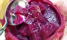 我家的“布丁”