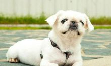 颜值固然好，努力更重要