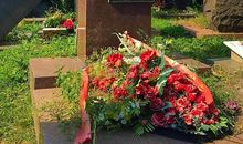 在理想与现实之间