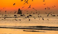 住入心灵的言语——读《一块孤独石》有感