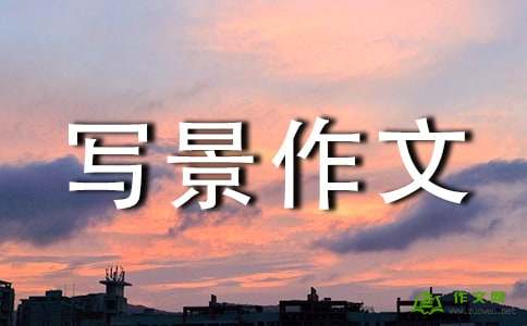 猫狗战争_350字