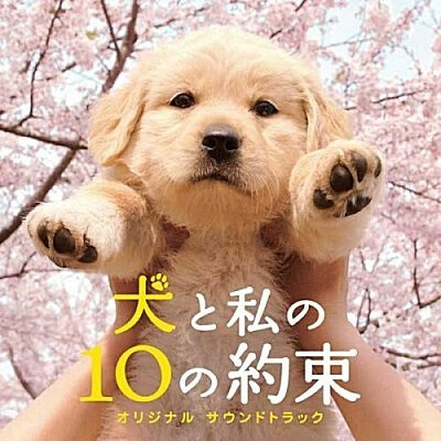 你心中永远的石头狗