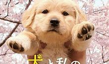 心中永远的石狗