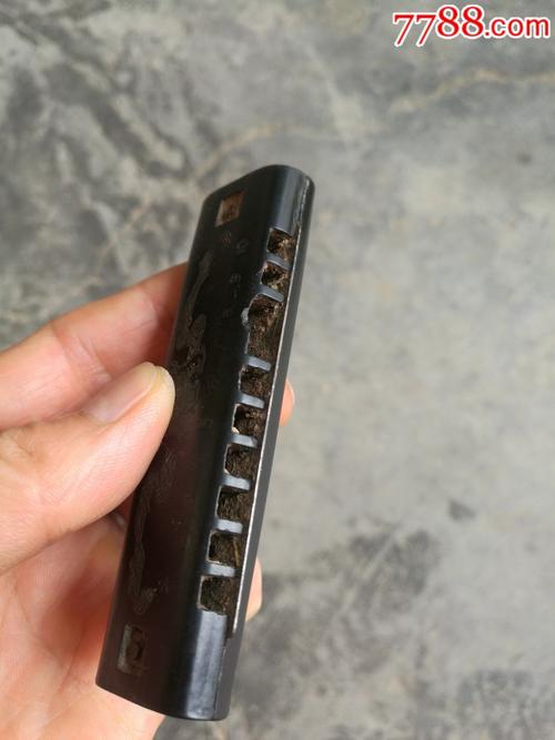 失去了小的口琴