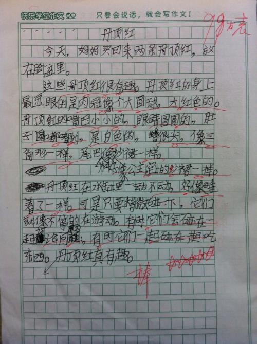 高二次成分：仍然梦想_500字