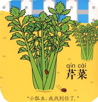 植物在哪里？