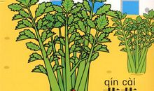 植物都去哪儿了