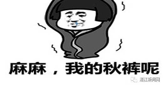顽固和混淆致敬_650字