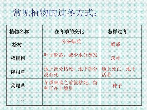 公开_300字