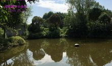 又是一年丹桂时