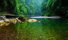 我与青山绿水共欢唱