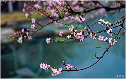 等待另一个时间