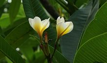 打动我心底的母爱