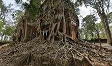 缠绕到底只是缠绕