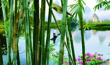 竹密不妨流水过