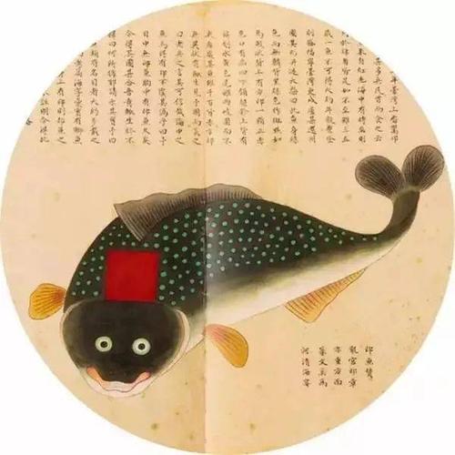 鱼打印_300字