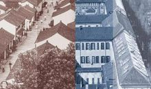 别拿鲁迅当鸡肋_700字