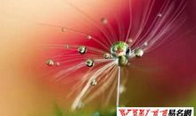 爱的空间触动了我的心灵