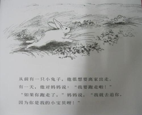 阅读后“Fuguo Bunny”
