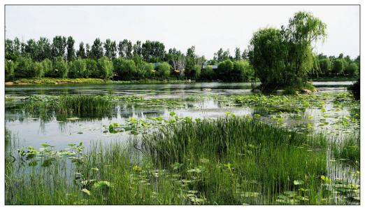 风景
