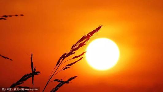 在心里播下太阳