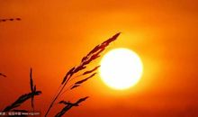 在心中播种太阳