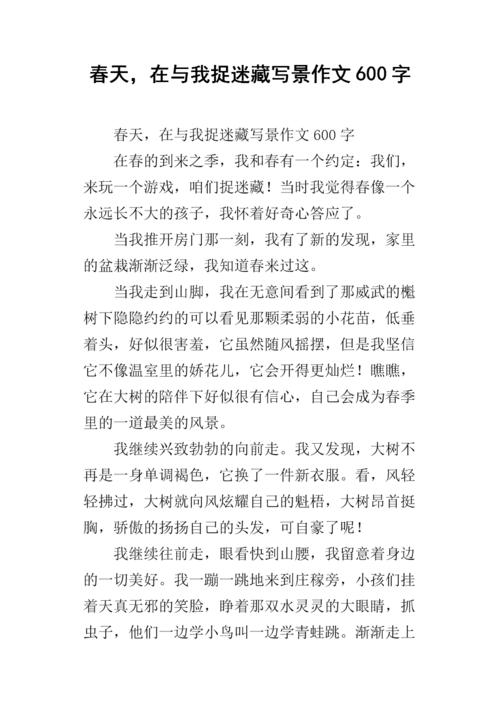 四年级叙事成分：捕捉捉迷藏_600字