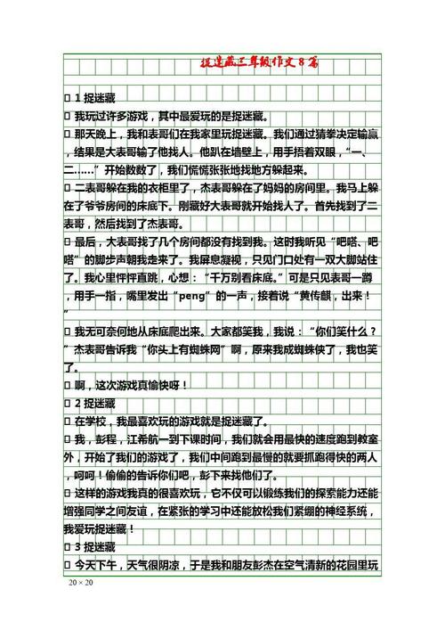 四年级叙事成分：捕捉捉迷藏_500字