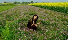 心，在这里飞扬