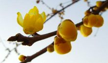 春去秋来墨亦香