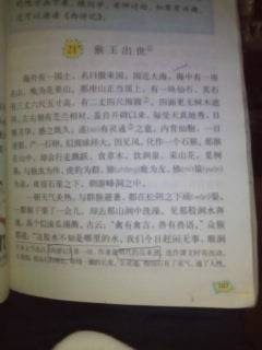 “向西之旅”阅读体验