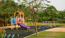 我的“游乐场”