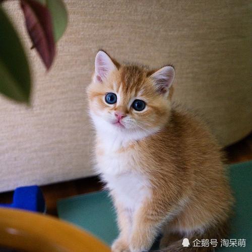 谁是孩子