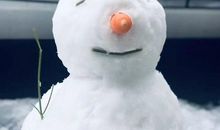 冬天里的一件感人的事