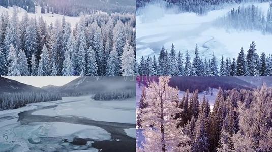 冬天白雪_700字