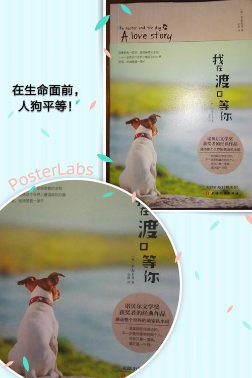 我从经典的中学里了解到，善待生活。