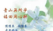 乐观的人生是精彩的