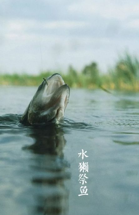 春雨和谦虚